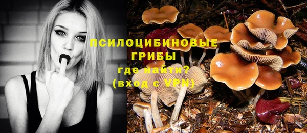экстази Карпинск