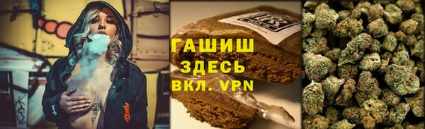 крисы Няндома