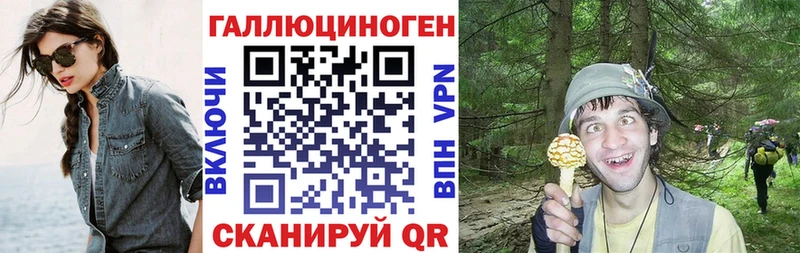 Псилоцибиновые грибы прущие грибы  Находка 